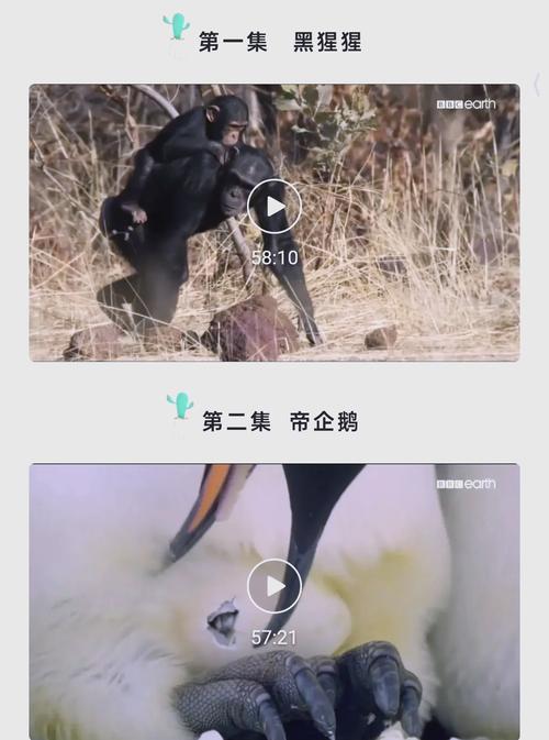 王朝影院视频观看|高清在线追剧平台推荐|免费无广告观影体验