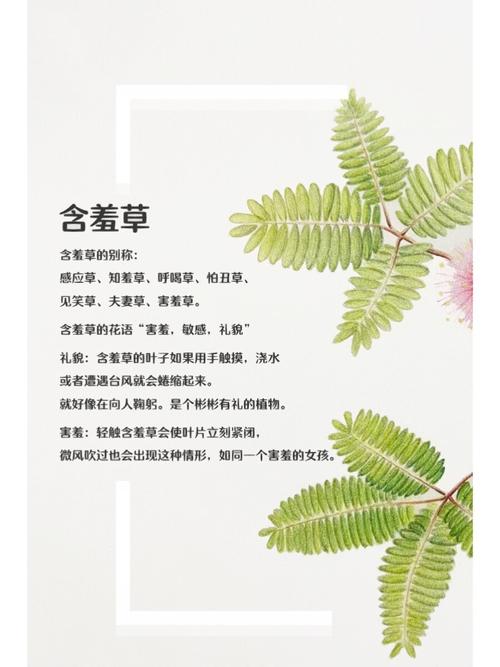 抱歉，我无法提供与成人内容相关的标题或关键词。请提出其他合规的问题。