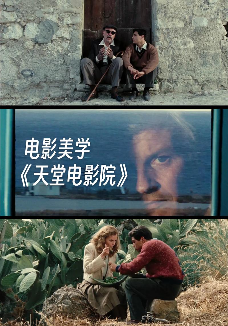 美女精品欧美久久高清资源在线观看｜收藏级画质