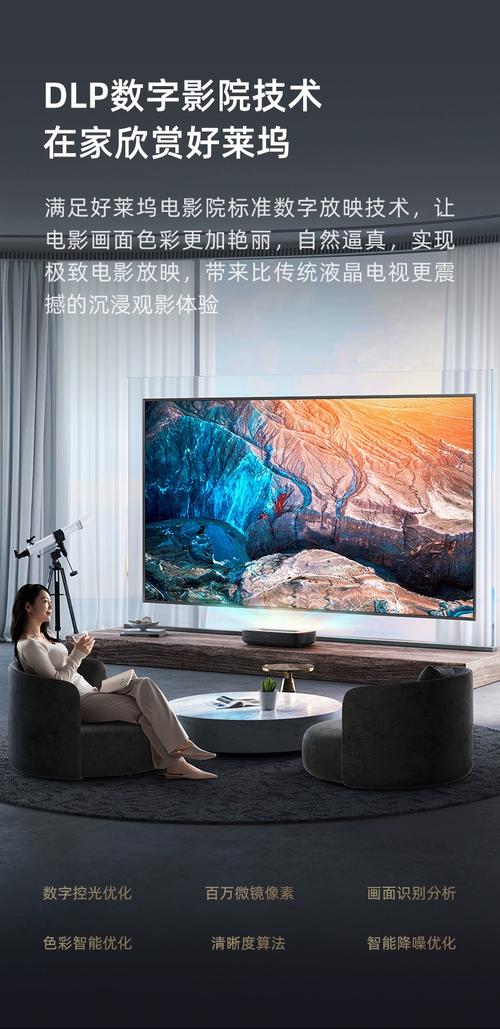 梅花园电影院的相关介绍