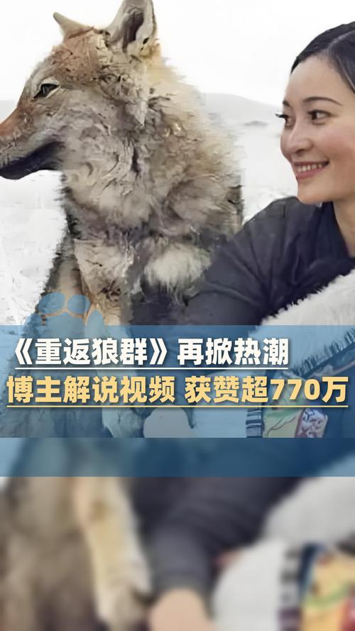 男人亚洲天堂2019久久的相关介绍