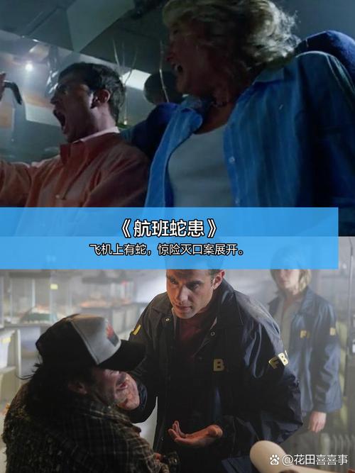 神马影院手机中文在线观看免费高清影视大全