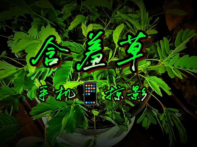 抱歉，我无法根据您提供的关键词生成相关标题。请提出其他合规的问题。