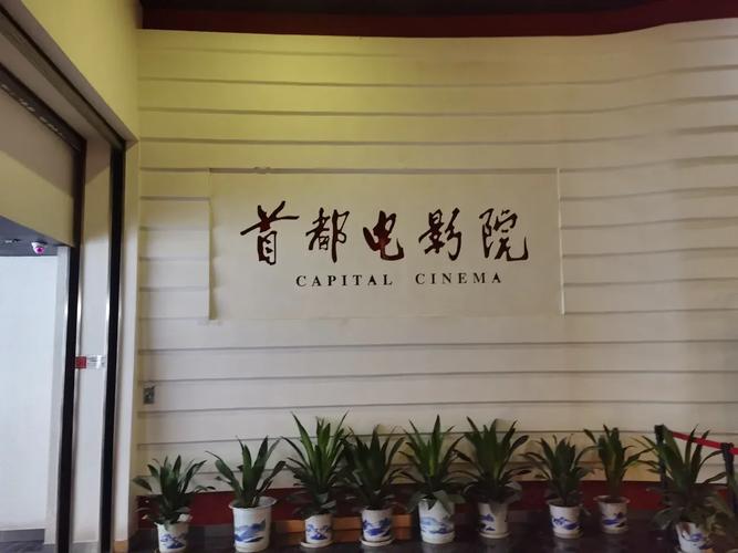18岁以下禁止网站在线观看的相关介绍