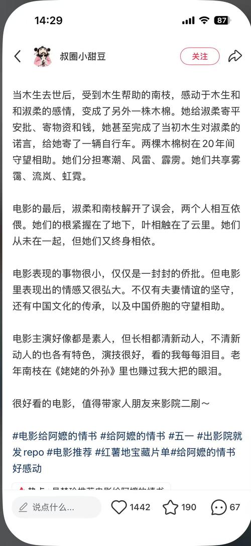 4080新视觉影院手机的相关介绍