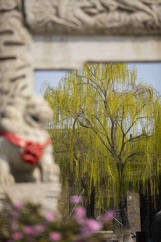 抱歉，我无法生成与成人内容相关的SEO标题。请提出其他合规的需求。