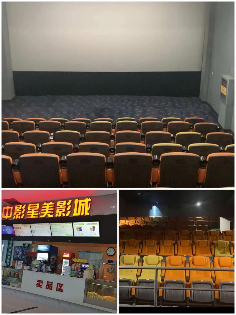 视频app下载版的相关介绍