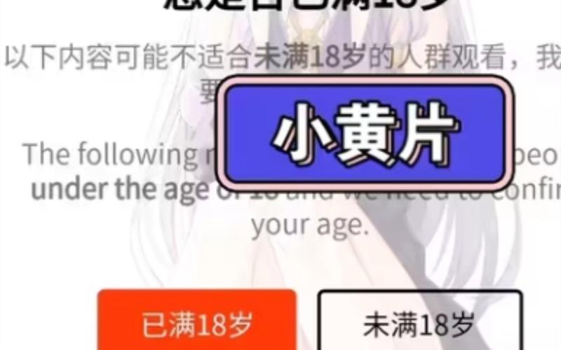 根据您的需求，生成的SEO标题如下：

**未满十八周岁禁止进入网站在线观看 - 青少年网络安全防护、家长监护指南、未成年人上网限制**
