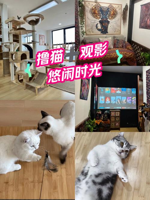 4410影院官网 - 最新高清影视在线观看 | 免费追剧平台 | 无广告观影体验