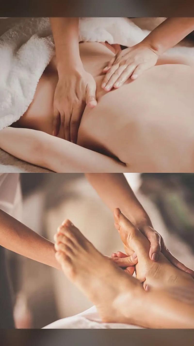 第九影院神马在线yy6080的相关介绍