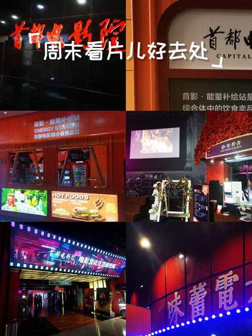 月光影院手机版在线观看 - 免费高清追剧神器，流畅观影无广告