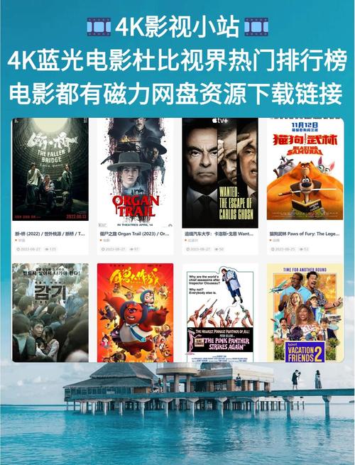 神马电影院午夜伦深夜档：最新伦理剧情片在线观看推荐