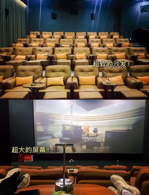久久久99久久精品的相关介绍